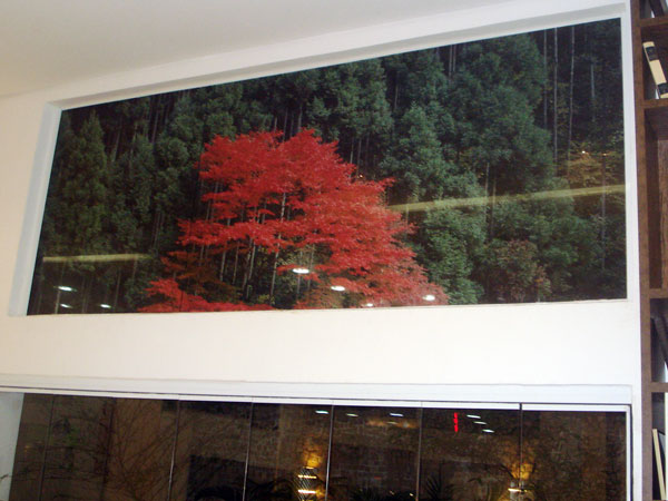 Adesivo impresso em vinil perfurado aplicado sobre janela de vidro.