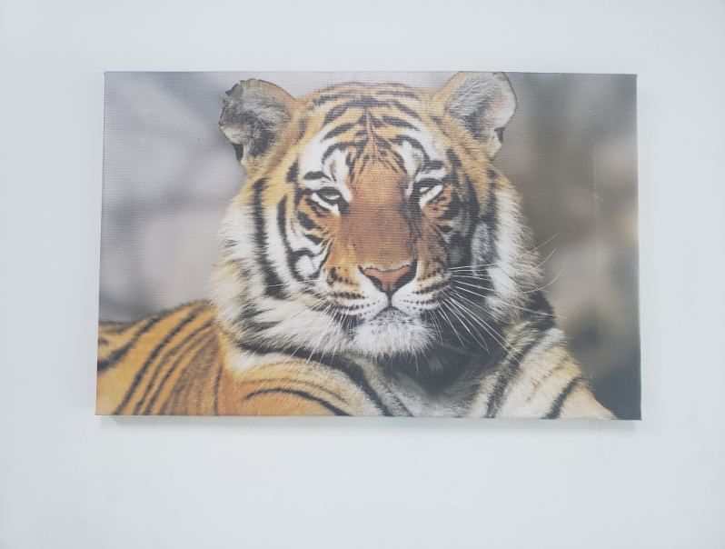 Impressões Digitais em Canvas Mooca - Impressão Digital em Pvc