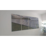 quadro tela canvas Raposo Tavares